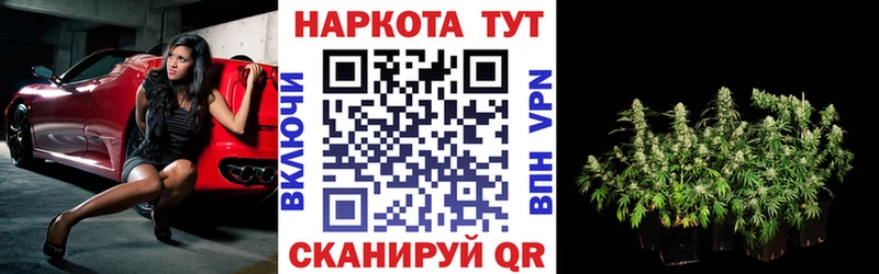 Псилоцибиновые грибы Владикавказ