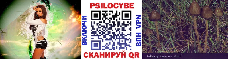 Галлюциногенные грибы Psilocybe Купить где Владикавказ